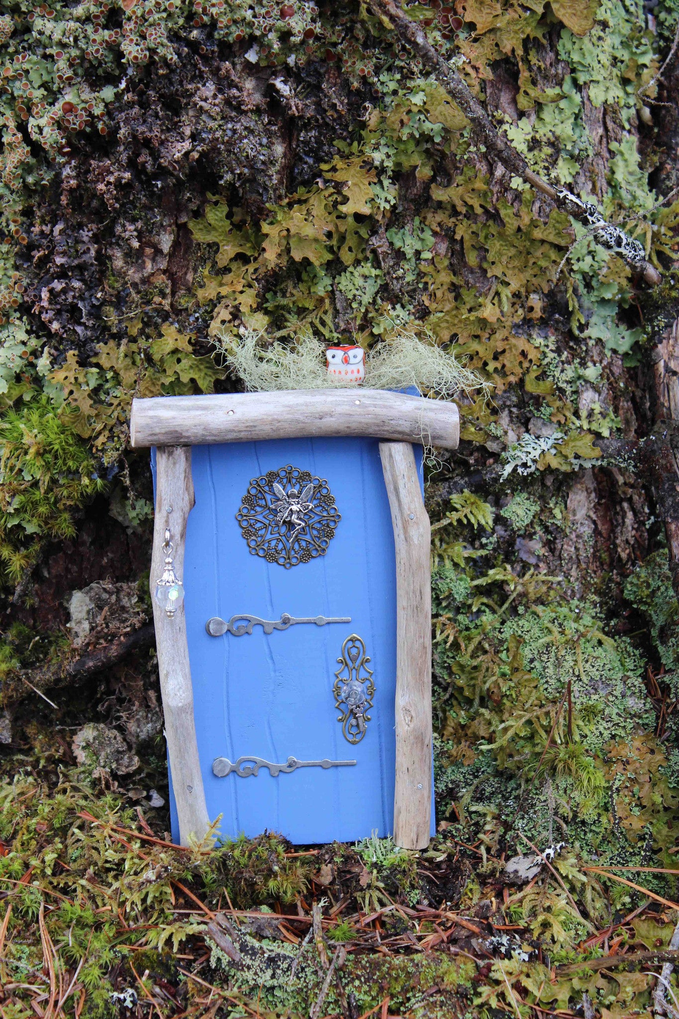 blue fairy door, front, in the woods
